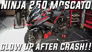 KAWASAKI NINJA 250 NEW GLOW UP AFTER CRASH !