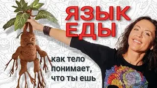 ЯЗЫК ЕДЫ: как тело понимает, что ты ешь // лекция Евгении Тимоновой 