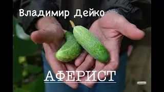 Владимир Дейко. "АФЕРИСТ". Аудиокнига. Читает автор