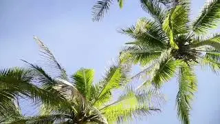 Bula Fiji