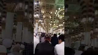 Hajj Update Madina Masjid E Nabawai #madina