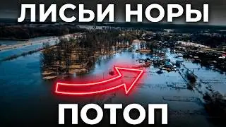 Подтопление деревни Лисьи Норы