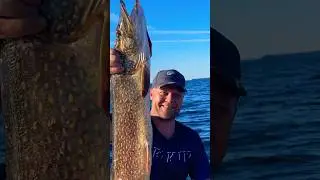 🔆КАРЕЛЬСКАЯ ЩУКА🐟#fishing #топ #рыбалка #2024