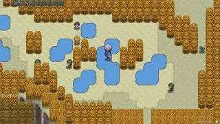 first pokemmo shiny fail...(single encounter)