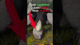 How to save Miriel (Turtle Pope)
