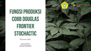 FUNGSI PRODUKSI COBB DOUGLAS STOCHACTIC FRONTIER + TUTORIAL ANALISIS FUNGSI PRODUKSI FRONTIER V 4.1