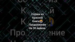 Собаки из красной книги 😭!!! #shorts #тикток #рекомендации