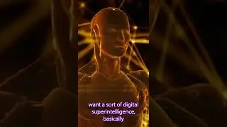 What Happens After AI Singularity?