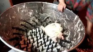 Перосъемная машина из чана нержавейки своими руками (ощип))