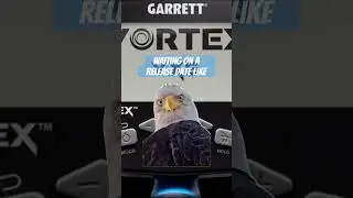 Garrett Vortex Metal Detector