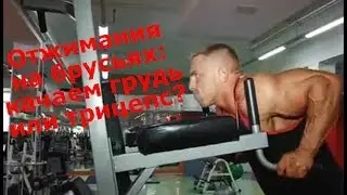 Отжимания на брусьях: качаем грудь или трицепс? Смотри на kanaltela!