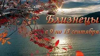 Близнецы Таро прогноз на неделю с 9 по 15 сентября 2024 года.