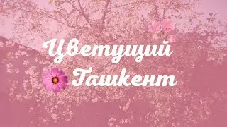 Цветущий Ташкент I Blooming Tashkent