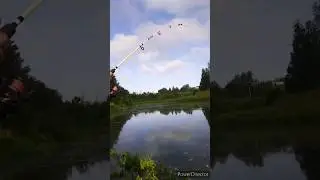 5 секунд, которые поставили мою удочку в опасность