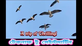 সেইন্ট মার্টিন ভ্রমণ। Saint-Martin's The beauty queen of Bangladesh!