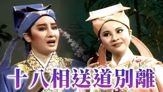 【經典歌仔戲】十八相送道別離！沿途吟詩作對卻不解弦外之音｜梁山伯與祝英台(1984)
