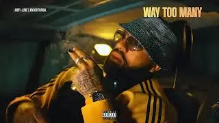 Larry June  - Way Too Many (Prod. By KNOCKTURNAL)