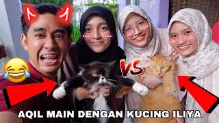 AQIL MAIN DENGAN KUCING ILIYA 😂 KUCING DIA BERANAK WOI 😱