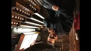 ORGANIX Italian Arts Festival Series 2023 | Mario Ciferri