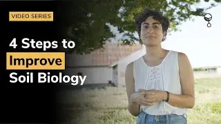 4 Steps to Improve Soil Biology
