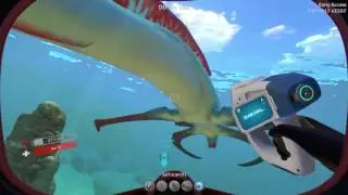 Subnautica : Lost River & Alien Skeletons (EP 7)