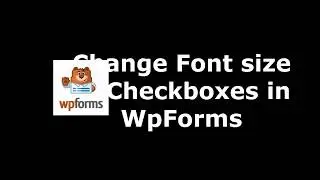 Easiest WordPress Plugin to Modify Checkbox Font Size in WpForms