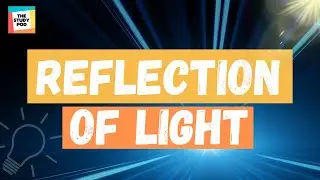 REFLECTION OF LIGHT | SCIENCE |The Study Pod