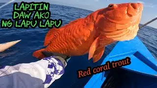 Vertical jigging in the philippines