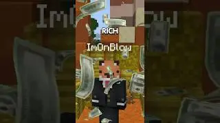 the richest player in minecraft 🤑