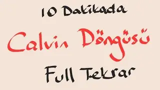 Calvin Döngüsü 10 dkda Full Tekrar (ciddiyim)