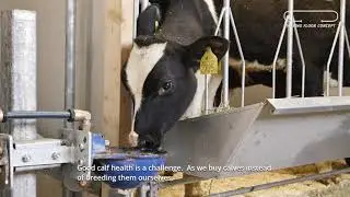 Moving Floor Calf renovation project at Malmberga gård, Sweden