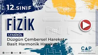 12.Sınıf Fizik - Yay Sarkacı Konu Anlatımı