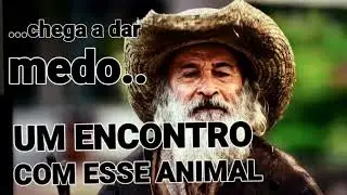 @amigo pescador avistando animal gigante em Rio mogi guacu