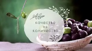 5. Как степень зрелости оливок влияет на стоимость оливкового масла? | 16+
