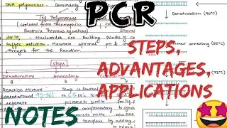 PCR (Polymerase Chain Reaction) || steps, Advantages, Applications#notes 🤩