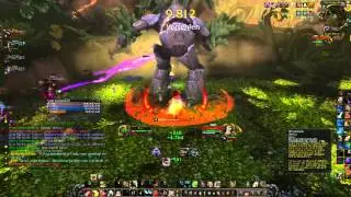 WoW Immergrüne Flor mystisch fury