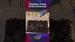 Zehrini Sağmak İçin Akrep Topluyordu Yakalandı! #shorts #staranahaber
