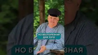 Маячник дядя Митя  - мысли на досуге (12)