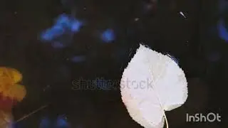 nereye saklarsın