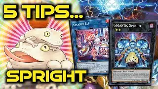 Yugioh 5 Tips for Sprights / Splights