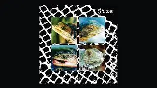 SIZE - Nadie Puede Vivir Con Un Monstruo (Full Album)
