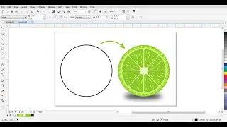 HOW TO CREATE ORANGE FRESH LOGO IN CORELDRAW | CORELDRAW TUTORIALS | DOCTOR DESIGN