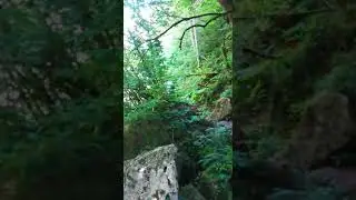 Подъем к водопаду на реке Курджипс. Поселок Мезмай
