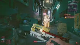 Cyberpunk 2077 - Undiscovered (Skippy The Talking Gun Location)