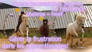 La résilience - associer le challenge au positif