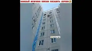 КАЖДЫЙ МУЖЧИНА ОБЯЗАН ПОСАДИТЬ ДЕРЕВО