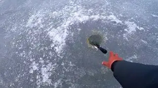 ГЛУБИНА 1 МЕТР!!! ЭТИ  РЫБИНЫ УТАСКИВАЮТ УДОЧКИ В ЛУНКУ! РЫБАЛКА НА КАРАСЯ ВЕСНОЙ НА ПОПЛАВОК!