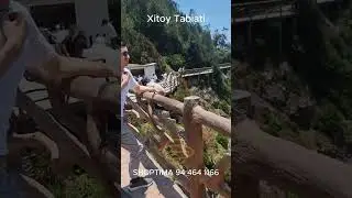 Xitoy tabiati-3 #shoptima #china #wenzhou