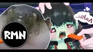 puffer fish eats carrots (trap Remix) - Andrey Bolo