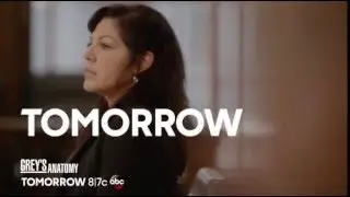 Grey'sd Anatomy 12x22 promo